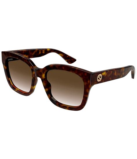 gucci women's urban sunglasses havana